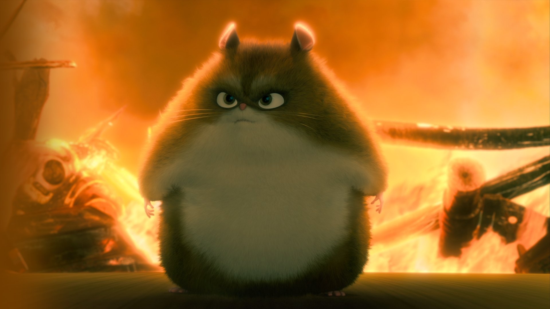 Кадр з фільму